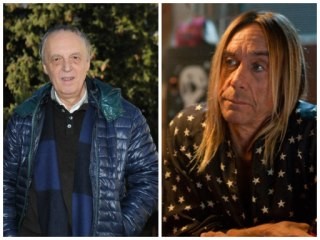 Одинокий Игги Детские Фото Блоггер