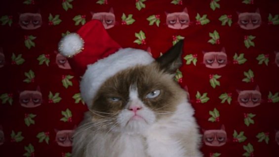 Новый трейлер: «Худшее Рождество Сердитой кошки» | THR Russia