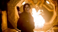 Студия Lionsgate откроет собственные парки развлечений