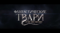 Тест: Назовете ли существо из фильма «Фантастические твари и где они обитают»?