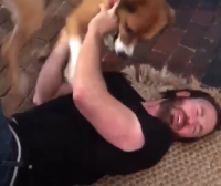 Видео: Крис Эванс и его пёс увиделись через 10 недель разлуки