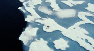 Фильм «Спасти планету» Стивенса и ДиКаприо бъет рекорды по просмотрам