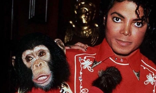 Тайка Вайтити снимет фильм о шимпанзе Майкла Джексона