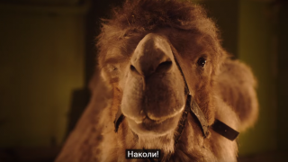  Режиссер «Хардкора» снял клип для «Ленинграда»