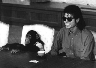 Netflix купил права на байопик о шимпанзе Майкла Джексона