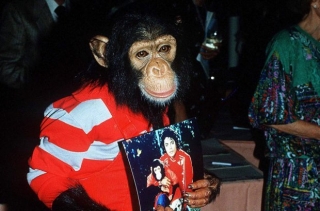 Наследники бунтуют: увидим ли мы байопики о Майкле Джексоне?