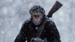 20th Century Fox подогревает интерес к трилогии «Планеты обезьян» фичуреткой
