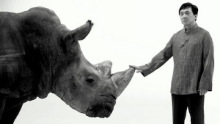 Джеки Чан поддержал документальный фильм против убийства диких животных