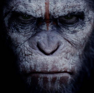 «Планета обезьян: Революция». Животные страсти