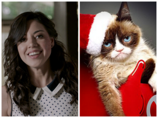Обри Плаза озвучит Grumpy Cat в «Худшем Рождестве Сердитого котика»