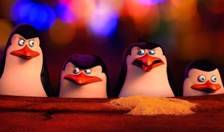 Российский кинопрокат: лидируют «Пингвины Мадагаскара»