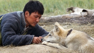 Китай выдвинет на «Оскар» «Тотем волка» Жан-Жака Анно