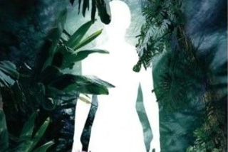 Скотт Стейндорф приобрел права на фантастический роман «Происхождение»