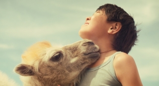 «Небесный верблюд» Юрия Фетинга стал победителем кинофестиваля в Индии