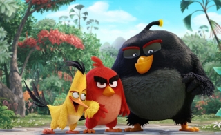 Новый трейлер: «Angry Birds в кино»