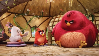 Новый трейлер: «Angry Birds в кино»