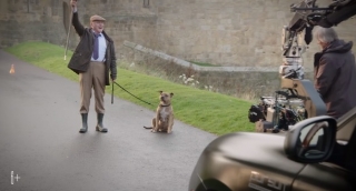 Новое видео: «Трансформеры 5» и самая одинокая собака Великобритании