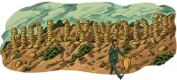 Выйти из сумрака: криптовалюта и кино