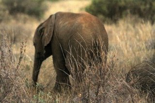 Сергей Ястржембский поборется за документальный «Оскар»