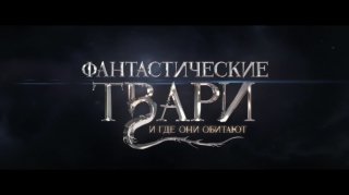 Тест: Назовете ли существо из фильма «Фантастические твари и где они обитают»?