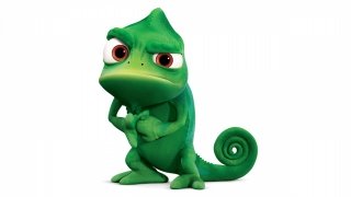 Тест: Чей это друг или питомец?