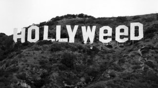 Hollyweed, учитель Хана Соло и многое другое из мира кино за 10 дней