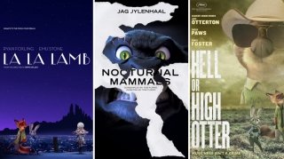 Создатели «Зверополиса» выпустили свои постеры фильмов-номинантов «Оскара»