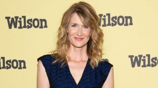  Лора Дерн снимется в фильме о таинственном, но разоблаченном писателе