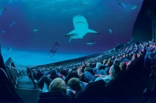 «Лигу справедливости» И «Аквамена» выпустят в формате виртуальной реальности