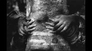 Конкурсанты ММКФ 2017: российский «Мешок без дна» и испанский «Селфи»