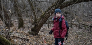 «Нелюбовь» Андрея Звягинцева получила «Золотую катушку»