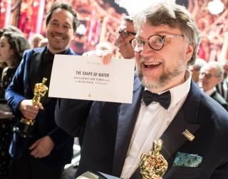 «Оскар 2018»: разбираем, почему «Форма воды» стала лучшим фильмом