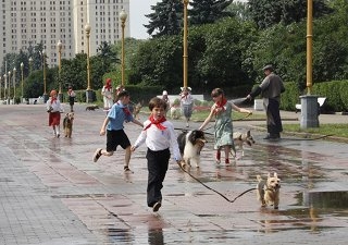 Скелет в будке