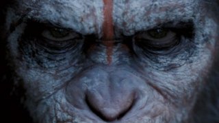 Новый трейлер: «Планета обезьян: Революция»