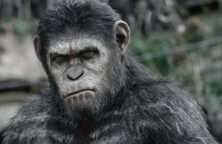Новые фото: «Планета обезьян: Революция»
