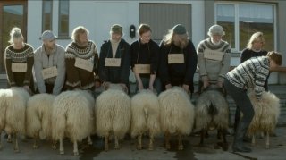 Канны 2015: Главный приз программы «Особый взгляд» получили исландские «Бараны»