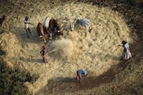 Фильм «Человек» будет показан в ЦДК с 20 января