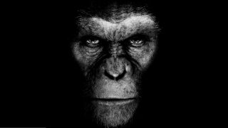 Новый тизер: «Война Планеты обезьян» от Мэтта Ривза